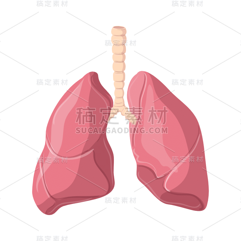 手绘-人体器官元素医疗贴纸38