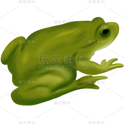 惊蛰贴纸