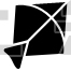 Kite