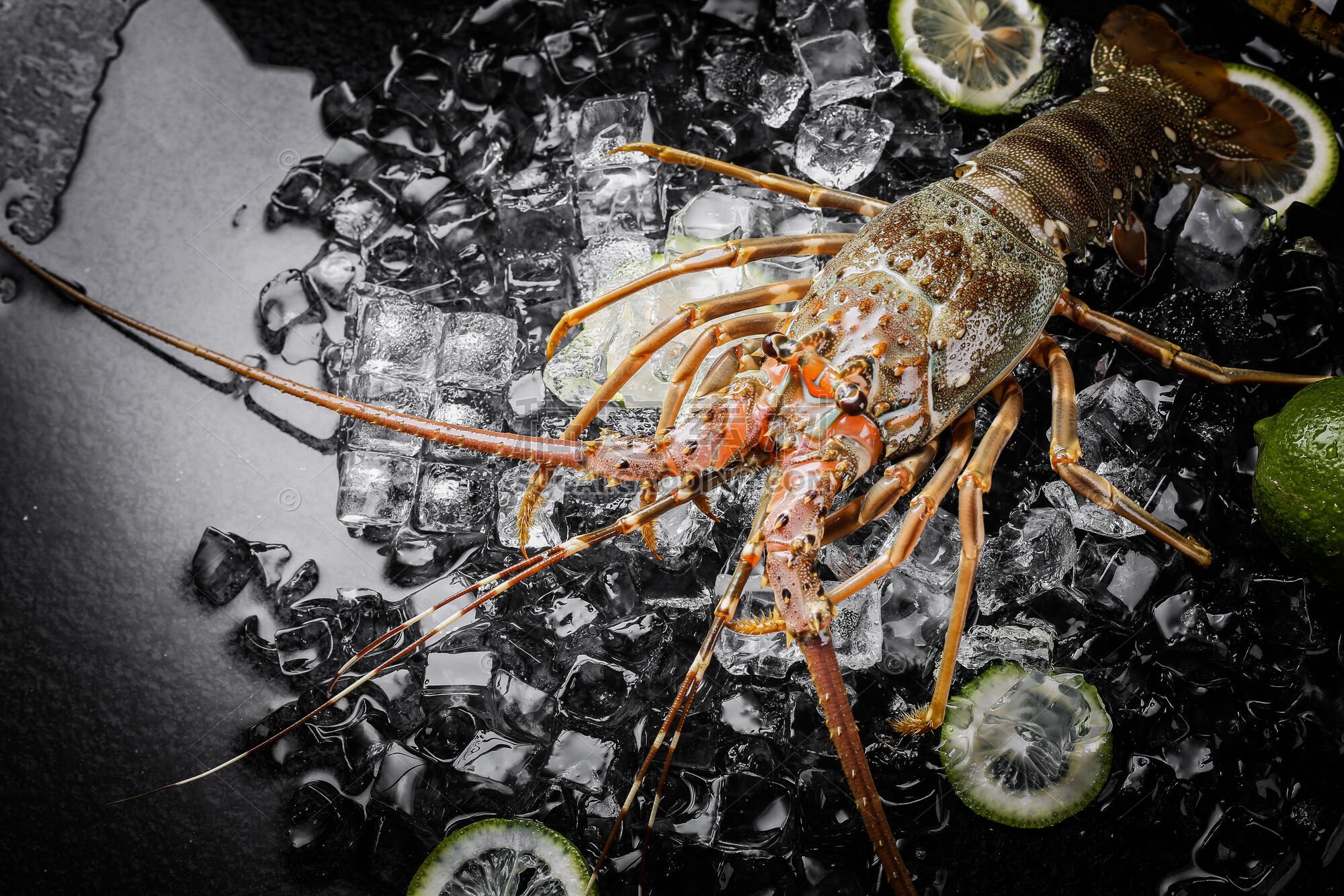 美食系列实景火锅食材海鲜龙虾