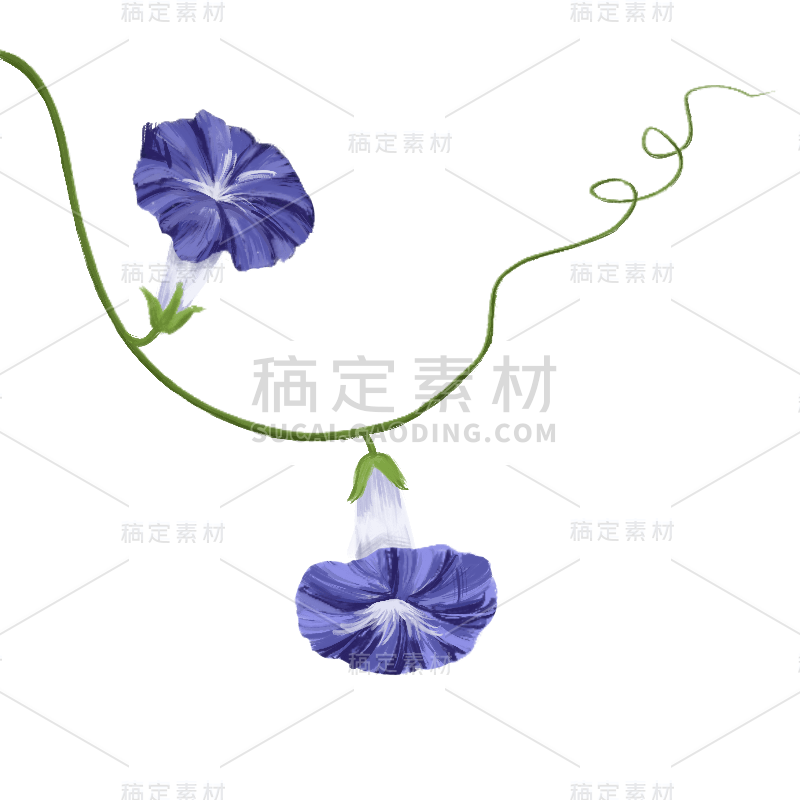 手绘紫色牵牛花油画元素