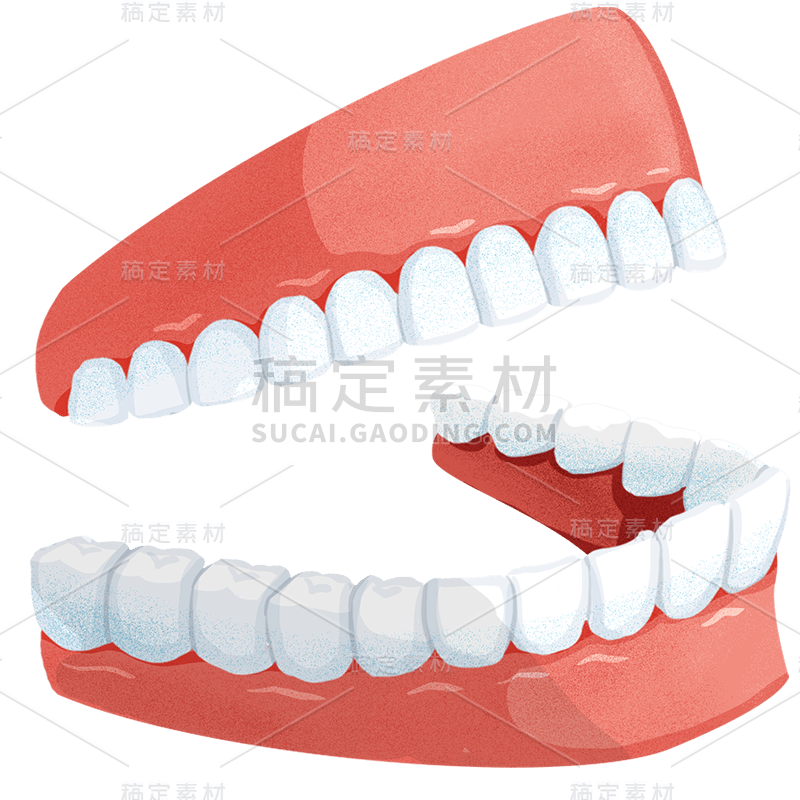 洁白牙齿模型元素