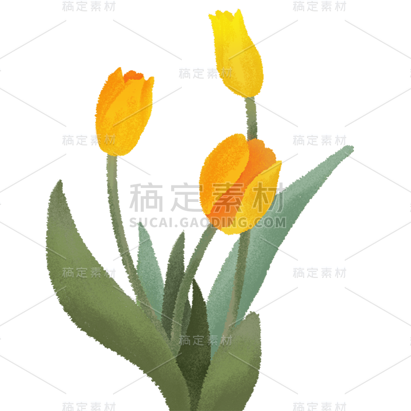 手绘-清新郁金香贴纸2
