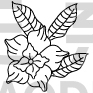 Flower Design