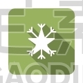 Snowflake