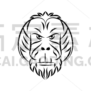 Orangutan Head