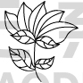 Flower Design