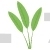 Herbs