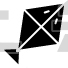 Kite