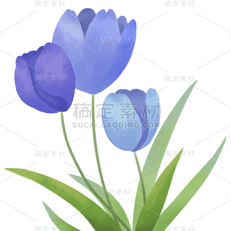 手绘-清新郁金香贴纸3