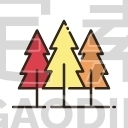 Pine Trees