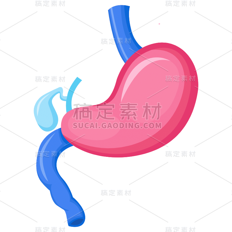 手绘-人体器官医疗元素贴纸33