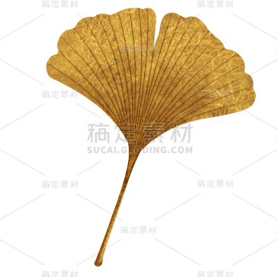 手绘线条鎏金银杏叶元素