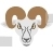 Ram Head