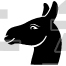 Donkey