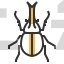 Rhino