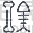 bone