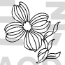 Flower Design
