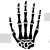 Hand Bones