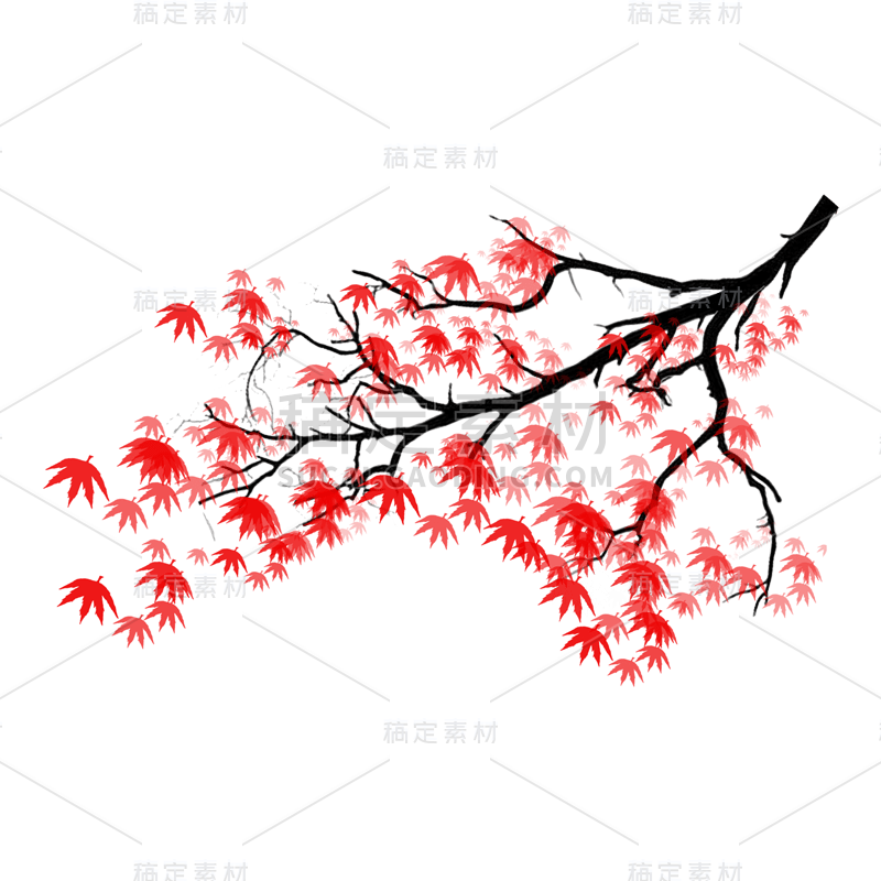 中国风-植物元素-枫叶