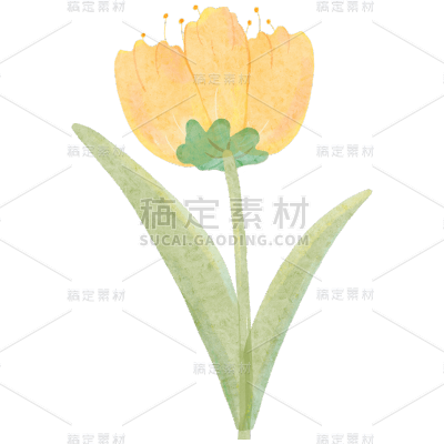 手绘-清新花朵贴纸3