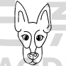 Doberman Pinscher