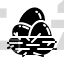 egg nest