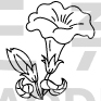Flower Design