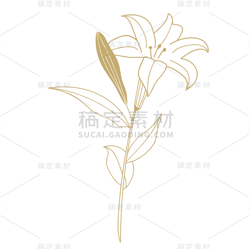 花卉线稿植物元素贴纸-SVG10