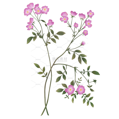 小清新紫色花朵插画