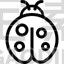 Bug