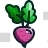 Radish