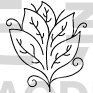 Flower Design
