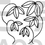 Flower Design