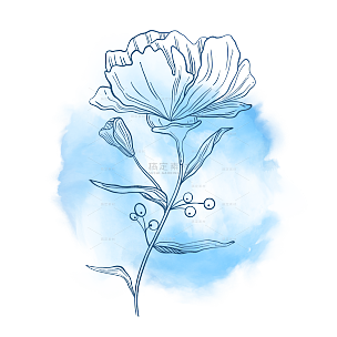 蓝色水彩烟雾线稿花卉元素