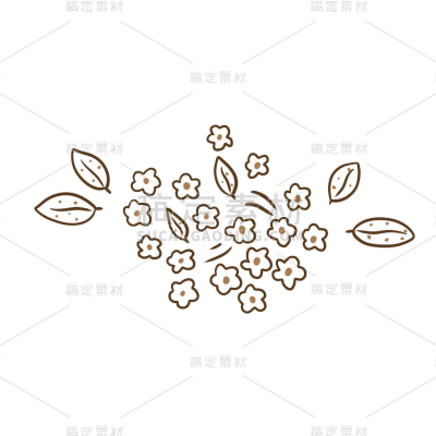 手绘花朵花卉植物线稿