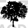 Tree Design