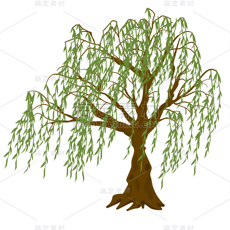 春天氛围装饰贴纸-柳树