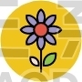 Gerbera