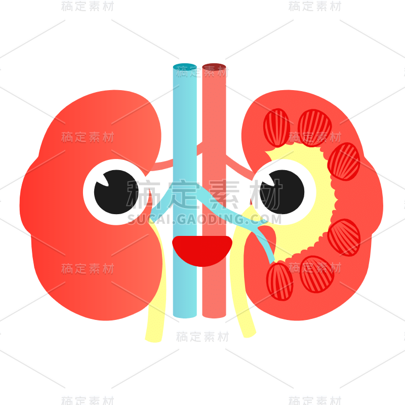 手绘-器官元素医疗贴纸3