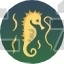 Seahorse