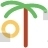 Palm
