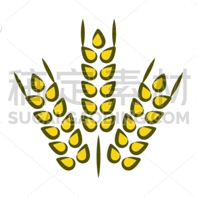 Wheat grass