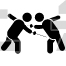 Fencing