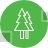 Ecology, Environment, Nature, Garden, Tree, Pine, Christmas