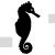 Seahorse