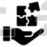 Solution Provider