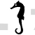 Seahorse
