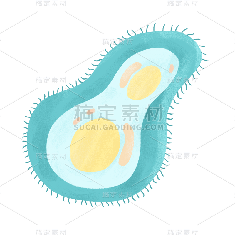 手绘-初高中课程辅导贴纸-单细胞