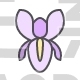Flower, Iris, Blossom, Nature, Spring
